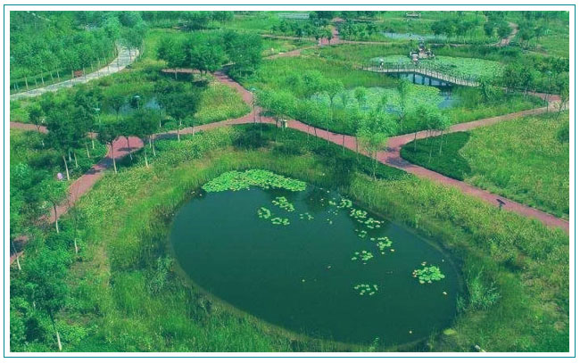 海綿城市建設現(xiàn)狀分析